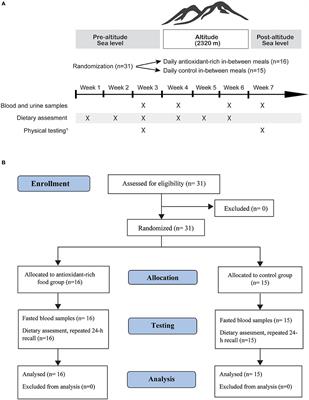 Dietary Adjustments to Altitude Training in Elite Endurance Athletes; Impact of a Randomized Clinical Trial With Antioxidant-Rich Foods